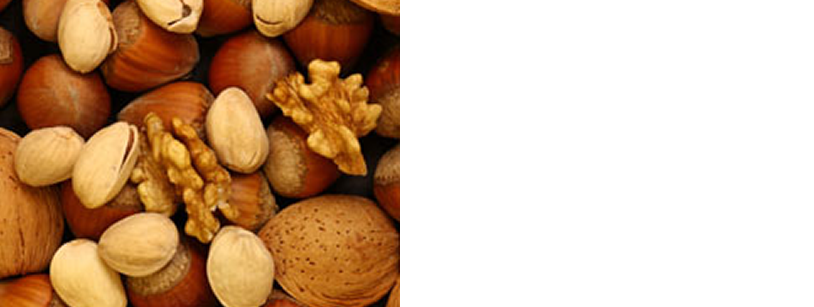 ss_nuts.fw